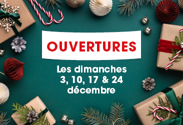 vignette-site-366x250-6556219dc41c6.png